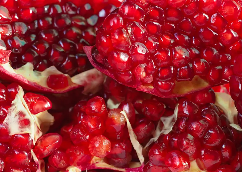 verdure-sciences-pomella-pomegranate-extract-775x550