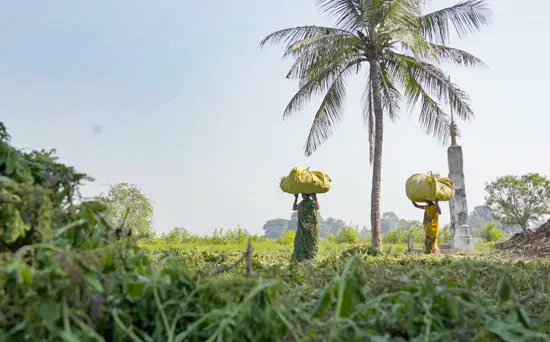 verdure-sciences-harvesters-walking-with-ingredients-550x342