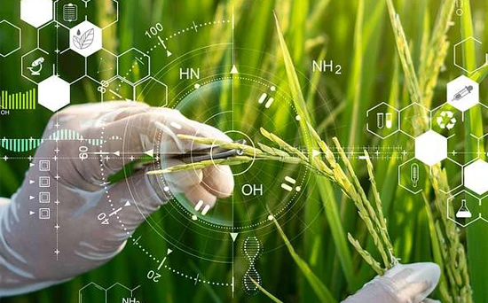 how-verdure-sciences-builds-botanical-integrity-from-seed-to-shelf-podcast-feature-img-550x342